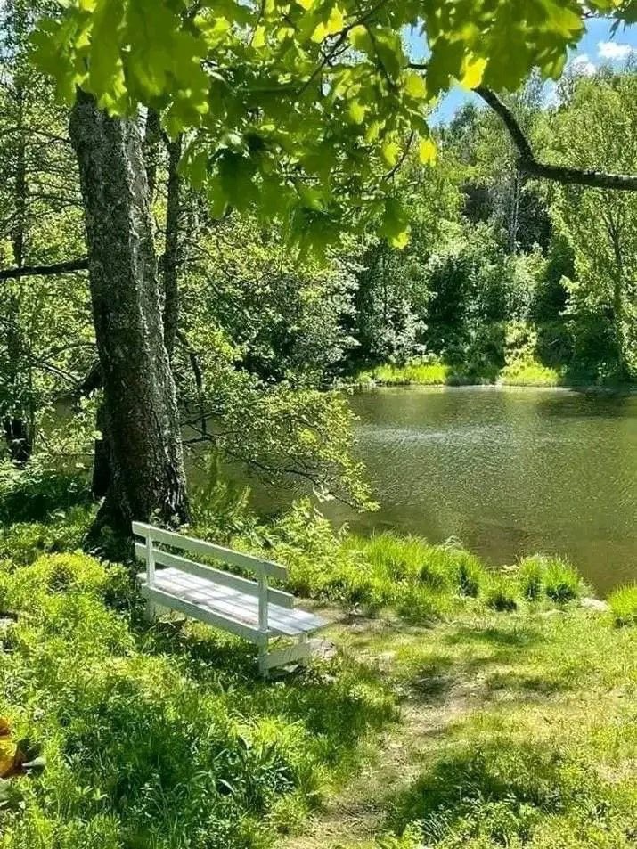 earthcurated's tweet image. If you could sit on this bench and chat for 1 hour with anyone who would it be?