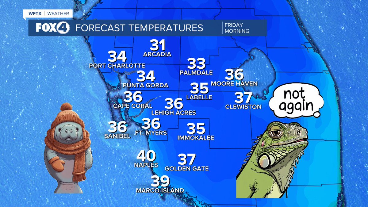 AShipleyWX's tweet image. Get ready!!! The coldest air we have seen since 2022 is arriving for Friday morning. Widespread wind chills in the 20s! This is cover the plants cold...and definitely falling iguana weather.