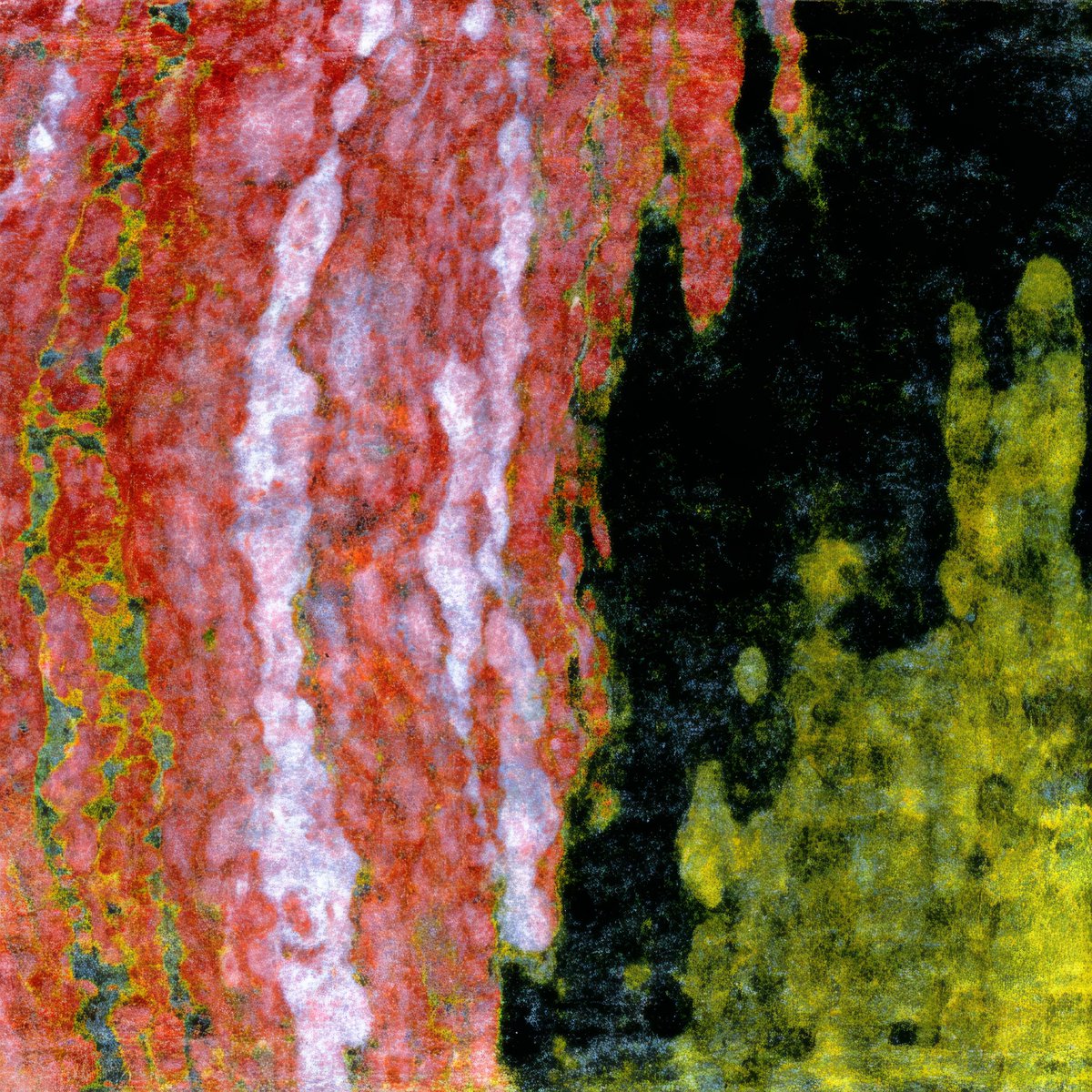 𝘽𝓸𝓽𝓻𝓸𝓼 tweet media