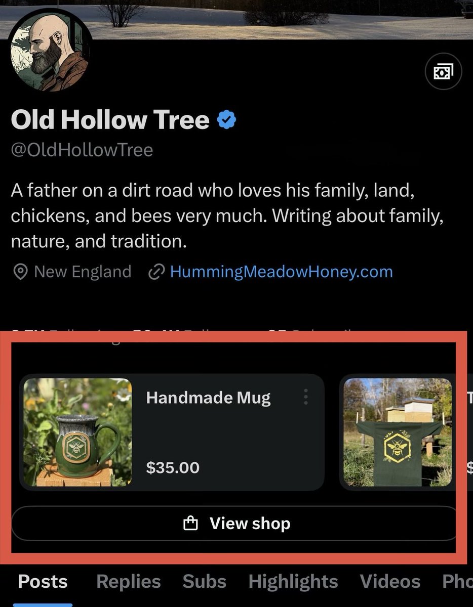 Old Hollow Tree tweet media