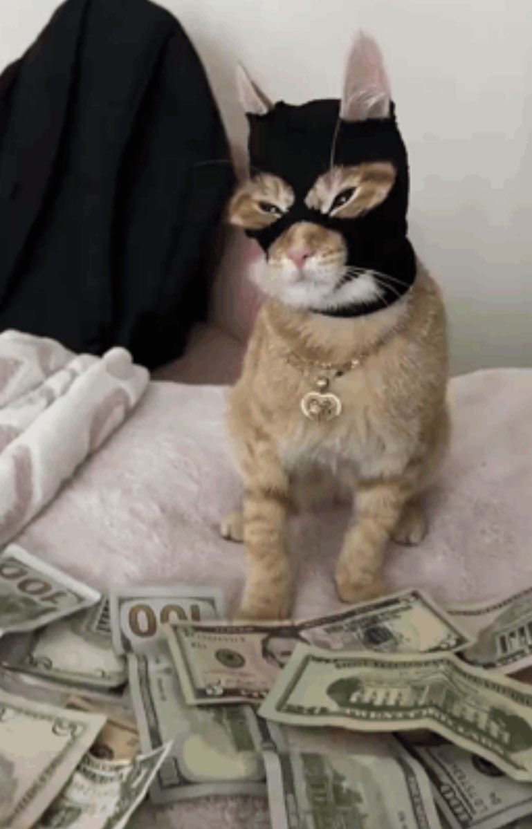 Una de mis metas para este 2026 es pasar de 1 SOL a ser buscado por las autoridades por fraude fiscal, malversación de fondos y lavado de dinero.