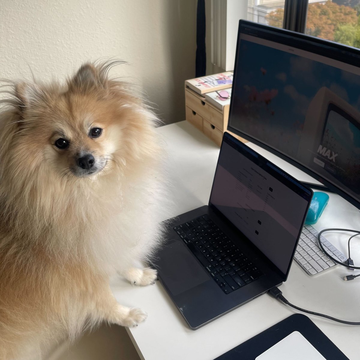 Zobeir Hamid tweet media