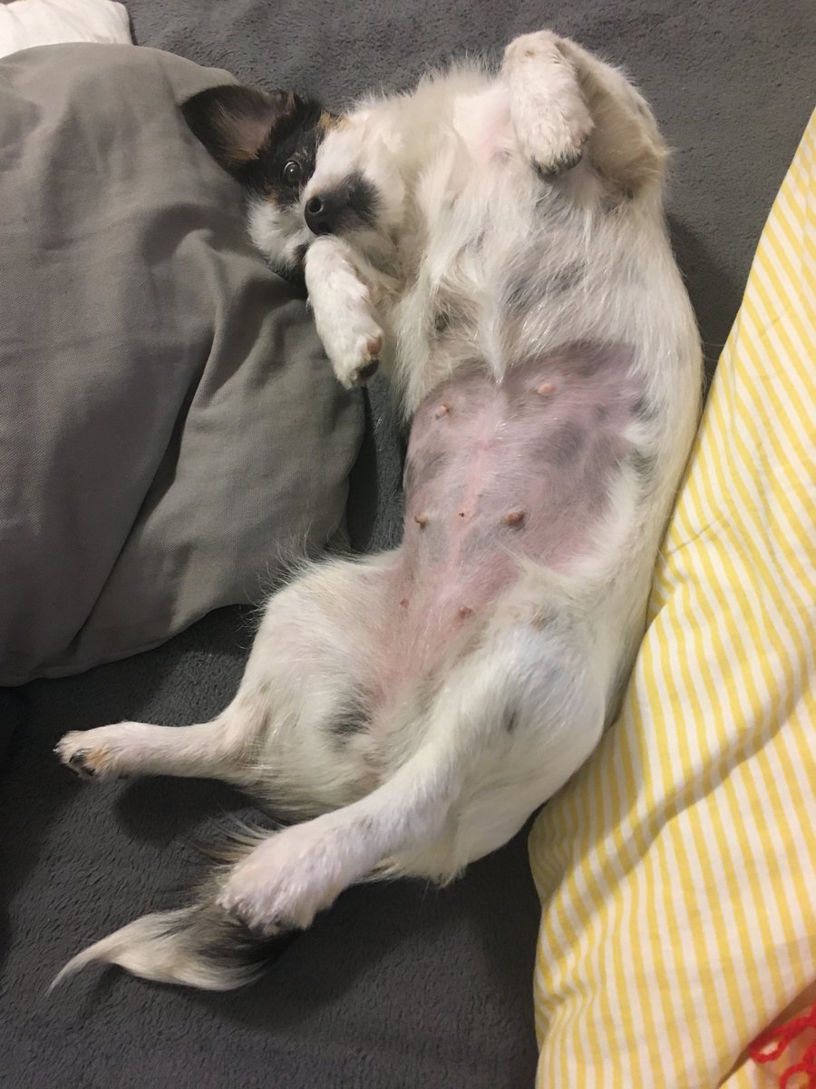 Golubtsova's tweet image. было!