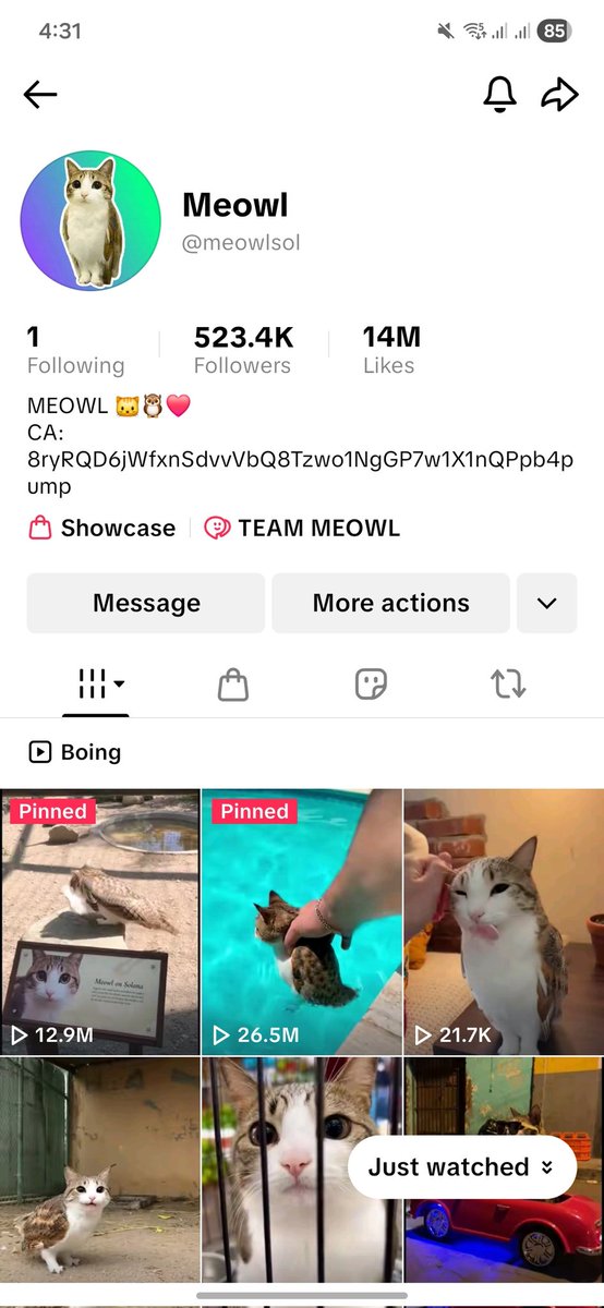 The Risktaker tweet media