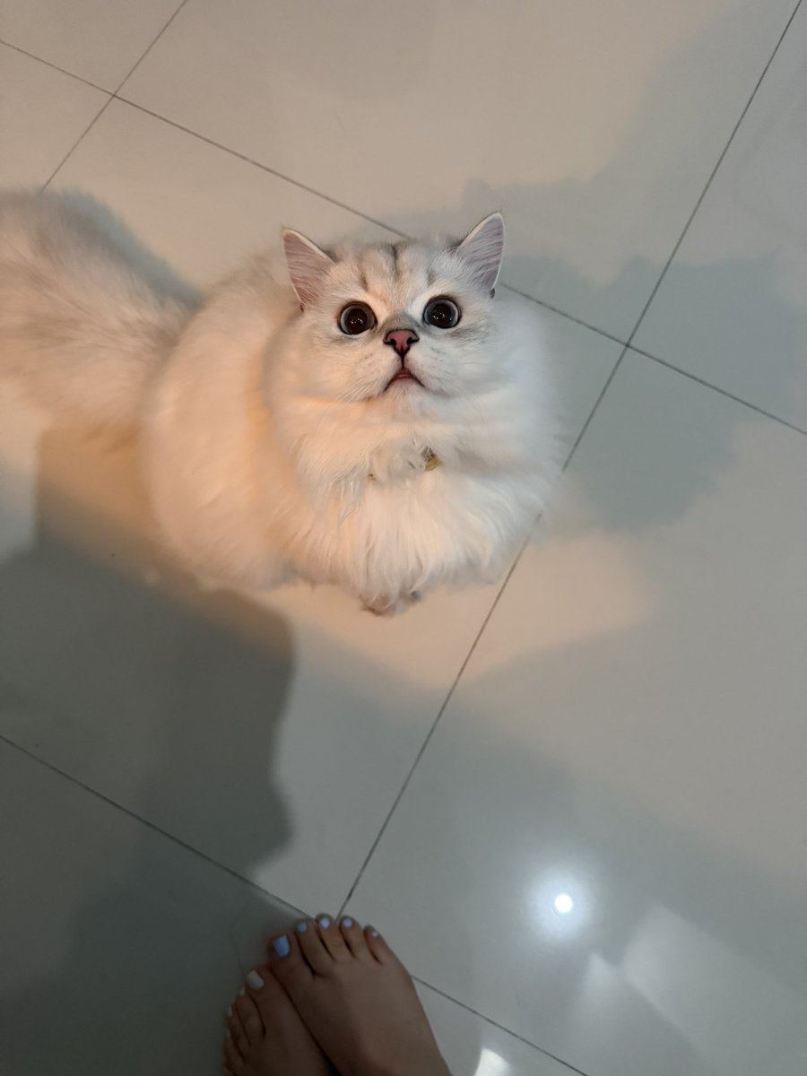 MeganNyvold's tweet image. I am supposed to let my chili simmer uncovered for 60 minutes however I do not trust …. The Supervisor