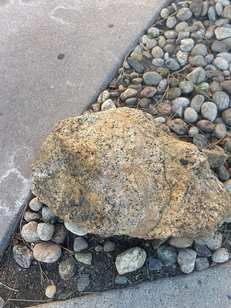 marston_rocks's tweet image. Gold I found at a nearby hotel from Morrison. #dubstep #excision #liquidstranger