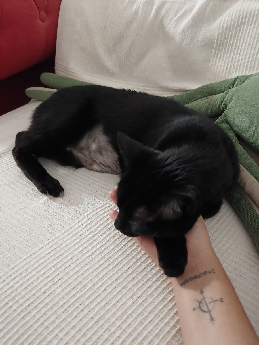 mwrtweed's tweet image. Бритая братва!!!!