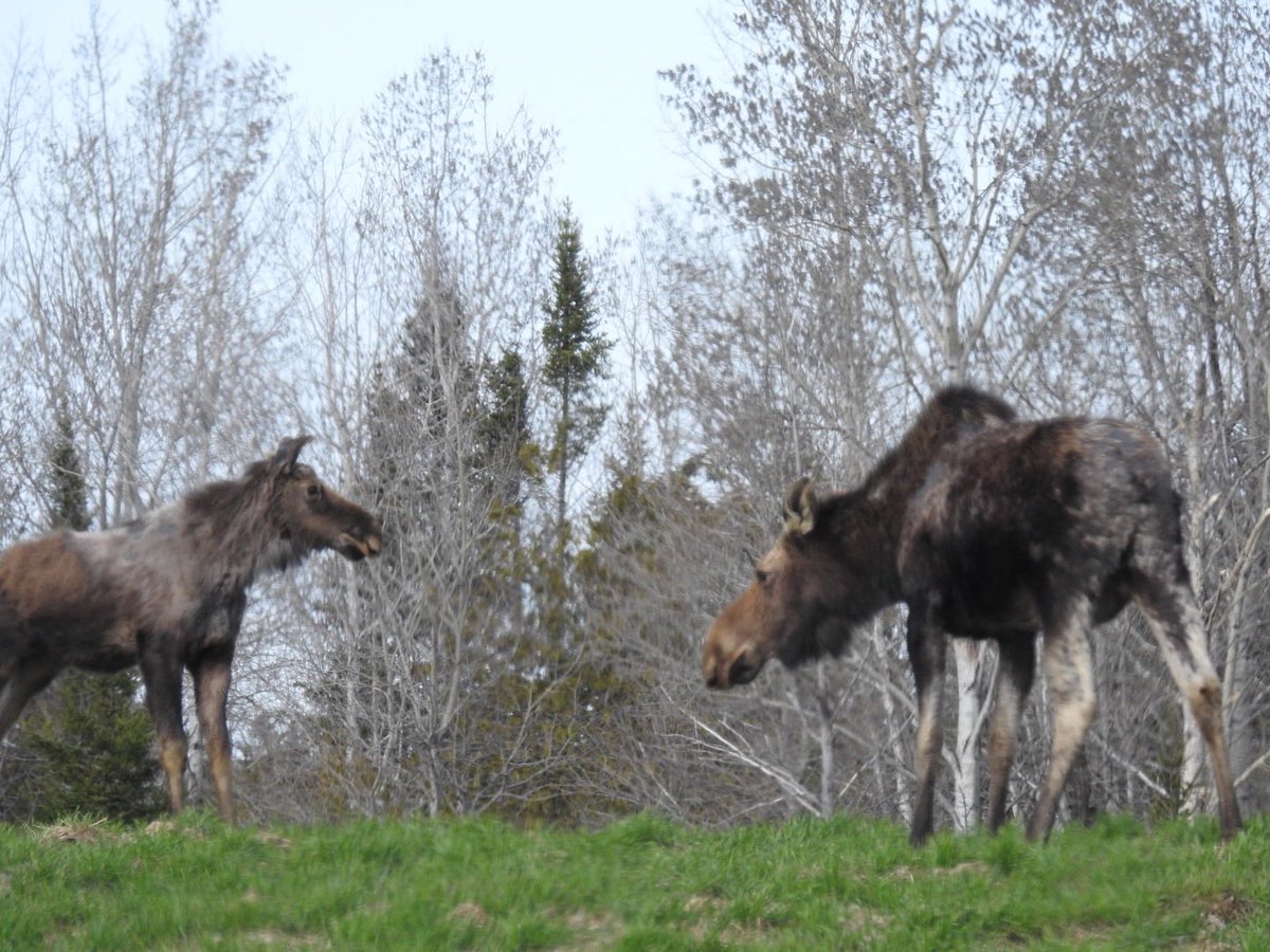 Wishing it was spring already