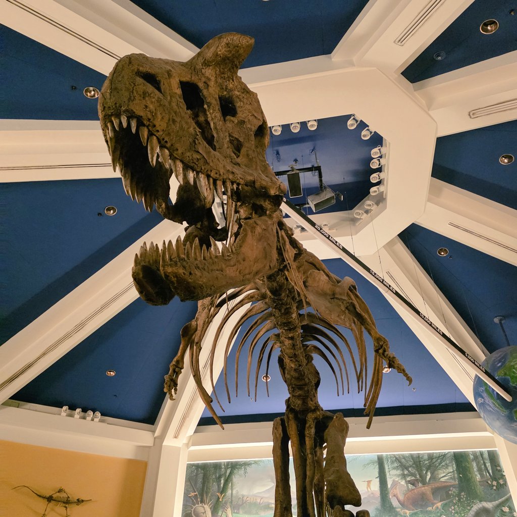 Coastercrew's tweet image. Getting some last rides in 🦕 🦖 @WaltDisneyWorld