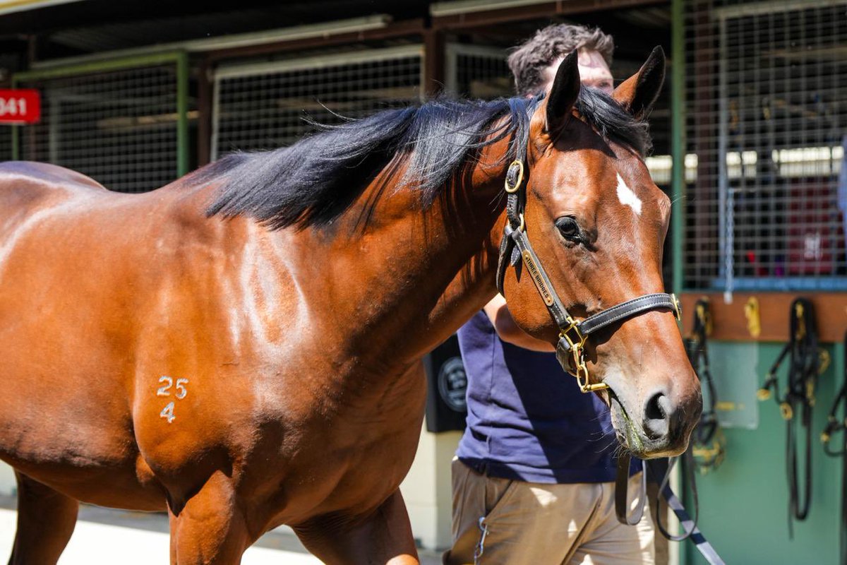 Three Bridges tweet media