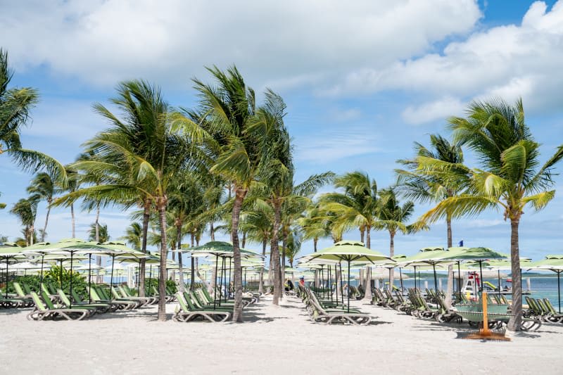 explorevip's tweet image. 🌴☀️ Experience your Perfect Day at Coco Cay! Relax in the luxurious beachside lounge chairs at the Coco Cay Beach Club, where tropical vibes and beautiful views await. 🌊🍹

Contact me today to book your cruise and enjoy all that Coco Cay has to offer! 📞