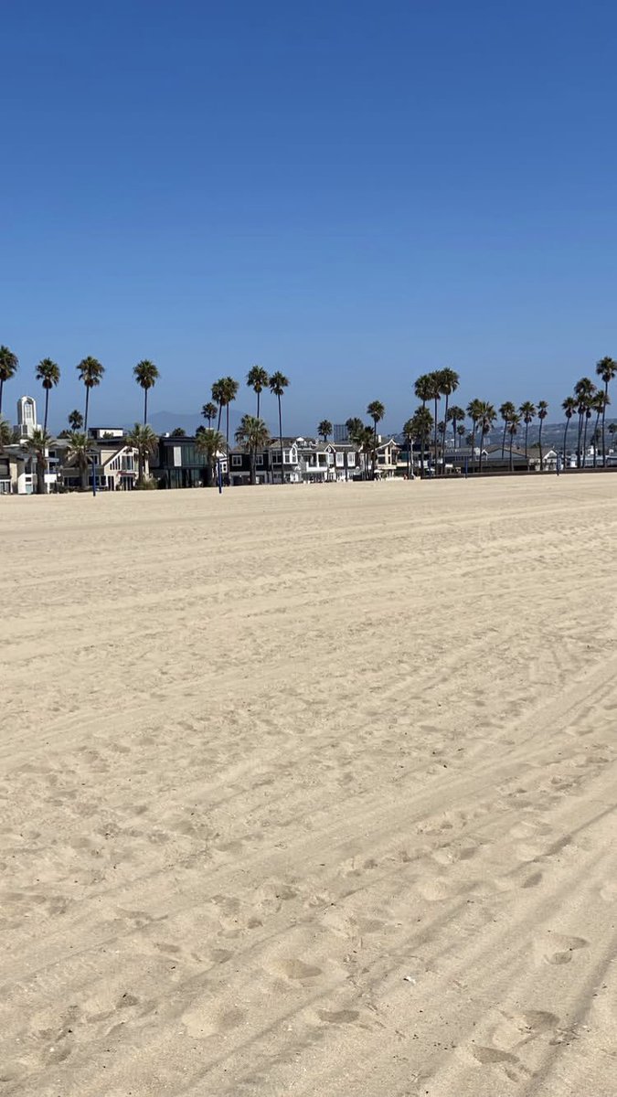 FlyingCastros's tweet image. 