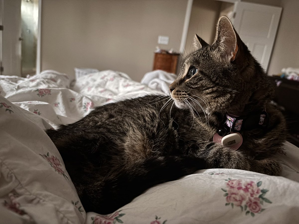 amd at Laste im sea tha lite ☀️