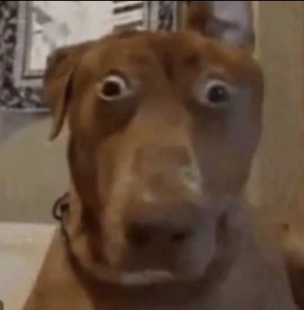 _chaayma's tweet image. darío diciéndole a cristina que estaba zorreando  cuando él hizo lo mismo y peor
#LaIslaDeLasTentaciones28