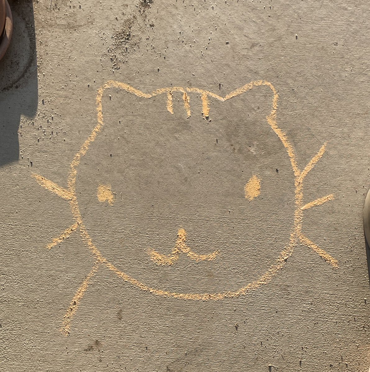 tuliphyacinth's tweet image. sometimes when you feel sad you can draw a cat on the sidewalk with chalk and then you’ll feel better