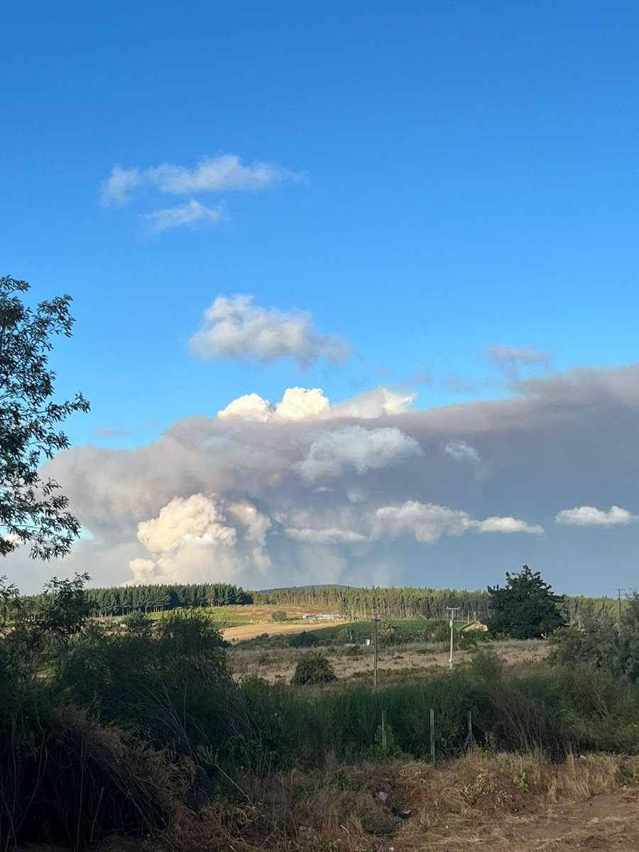 Freire_cl's tweet photo. Desde ruta Itata límite #Tome se aprecia incendio forestal que afecta a la comuna de Ranquil Región de Ñuble. https://t.co/XGudg8sZNu