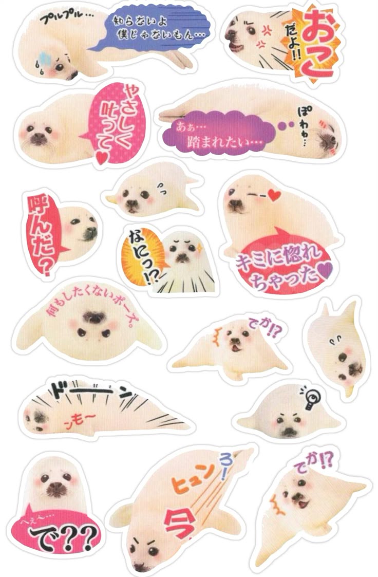 stayszq's tweet image. ㅤㅤᯓ botones ୭˚. ᵎᵎ

ㅤ⁞ fav y rt 
ㅤ⁞ marcar 3
ㅤ⁞ comentar ss

ᯓ ⏰30 seg