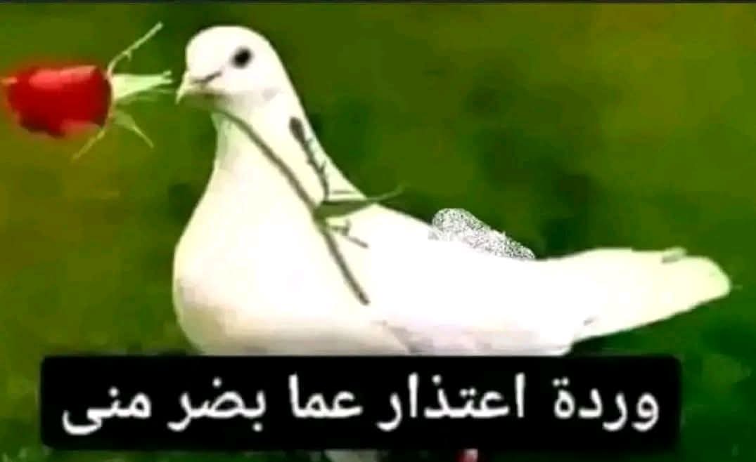 Zahri_10i's tweet image. @ Walid Regragui  🙏