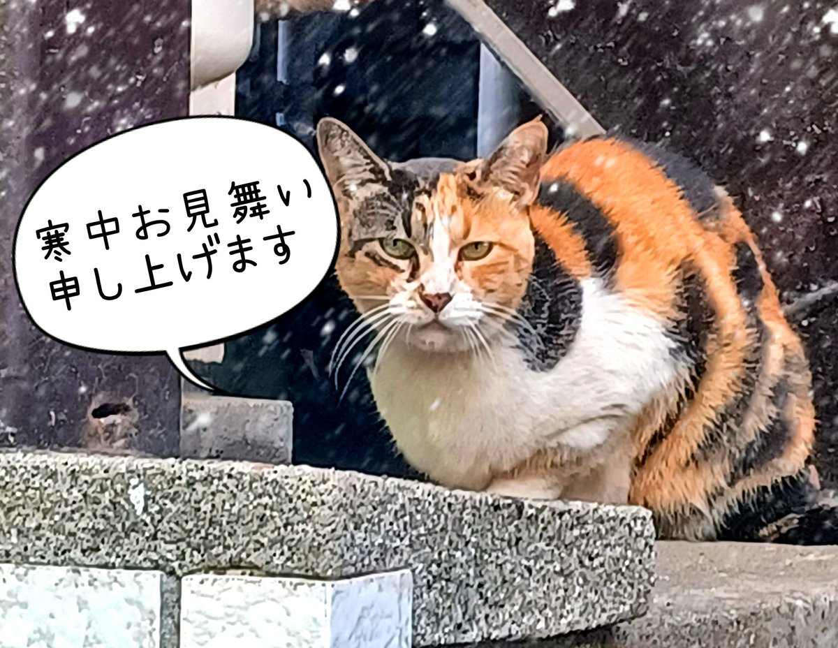 西川尊琉さま専用 画像でヨゴレをご確認ください 西川尊琉