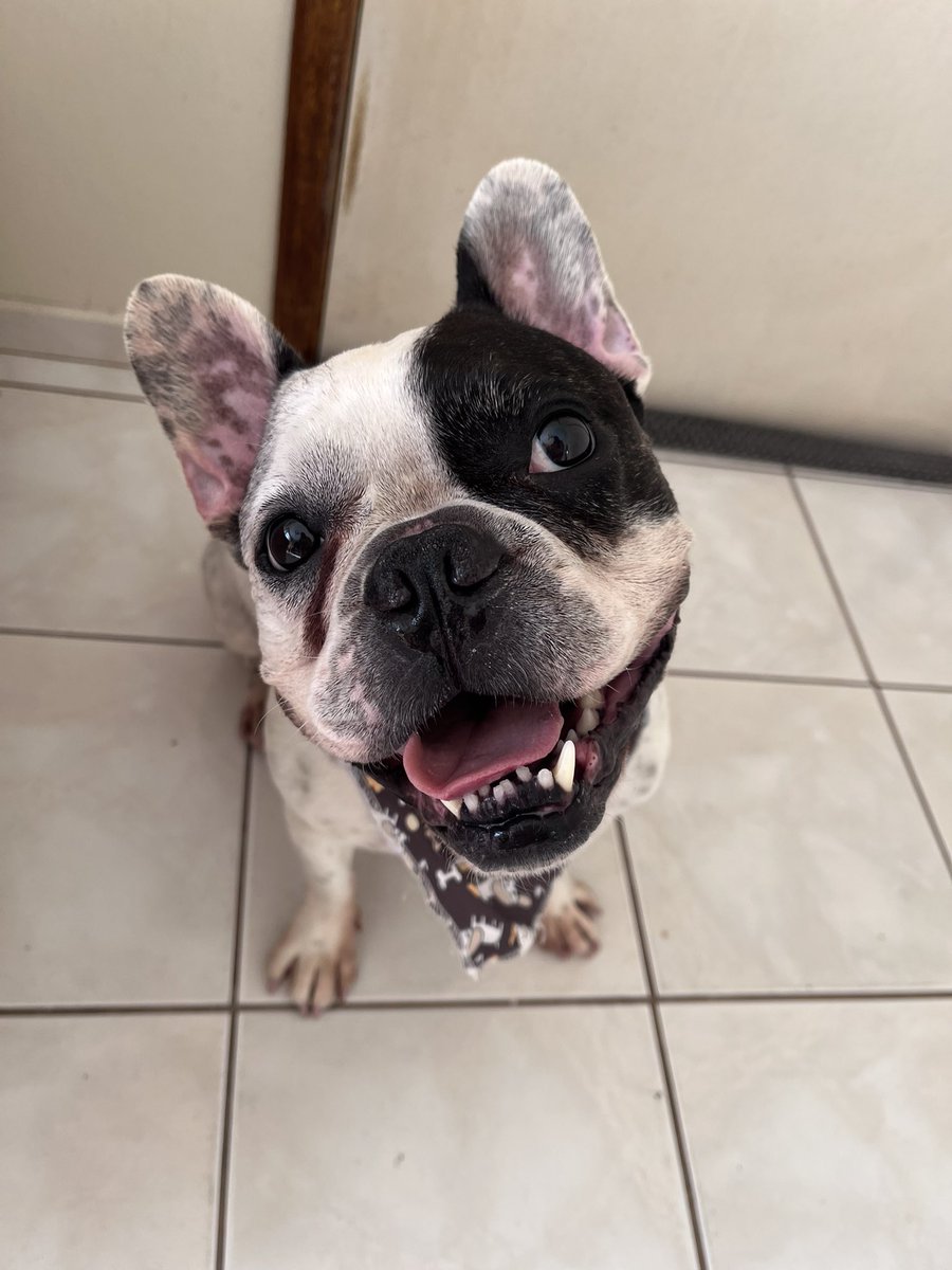 debibal's tweet image. Meu amor todinho 💜🥹💜💜💜