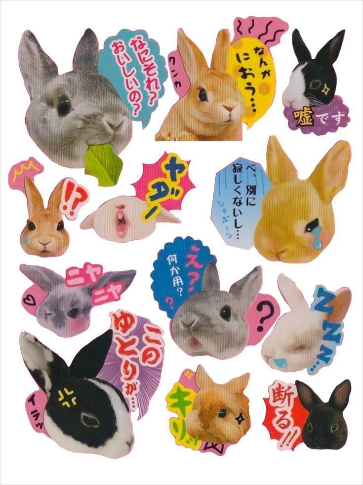 stayszq's tweet image. ㅤㅤᯓ botones ୭˚. ᵎᵎ

ㅤ⁞ fav y rt 
ㅤ⁞ marcar 2
ㅤ⁞ comentar ss

ᯓ ⏰30 seg