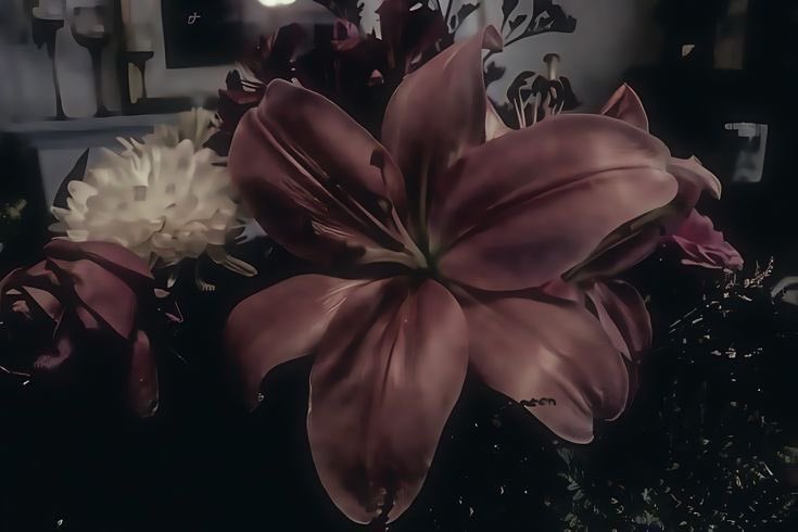 dreamingzsn's tweet image. 𖥟  —— 🍷̲     ֺ   ໒  𝘔𝘦𝘶𝘴 𝘳𝘦𝘴𝘶𝘭𝘵𝘢𝘥𝘰𝘴 𝘤𝘰𝘮 𝘮𝘪𝘯𝘩𝘢 𝘴𝘱 𝘥𝘰 0  ——  ໒ྀི  #loatwt