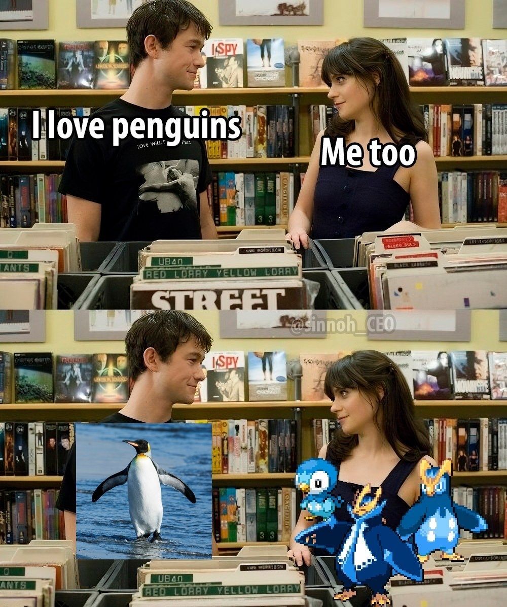 pokemon_daily's tweet image. 