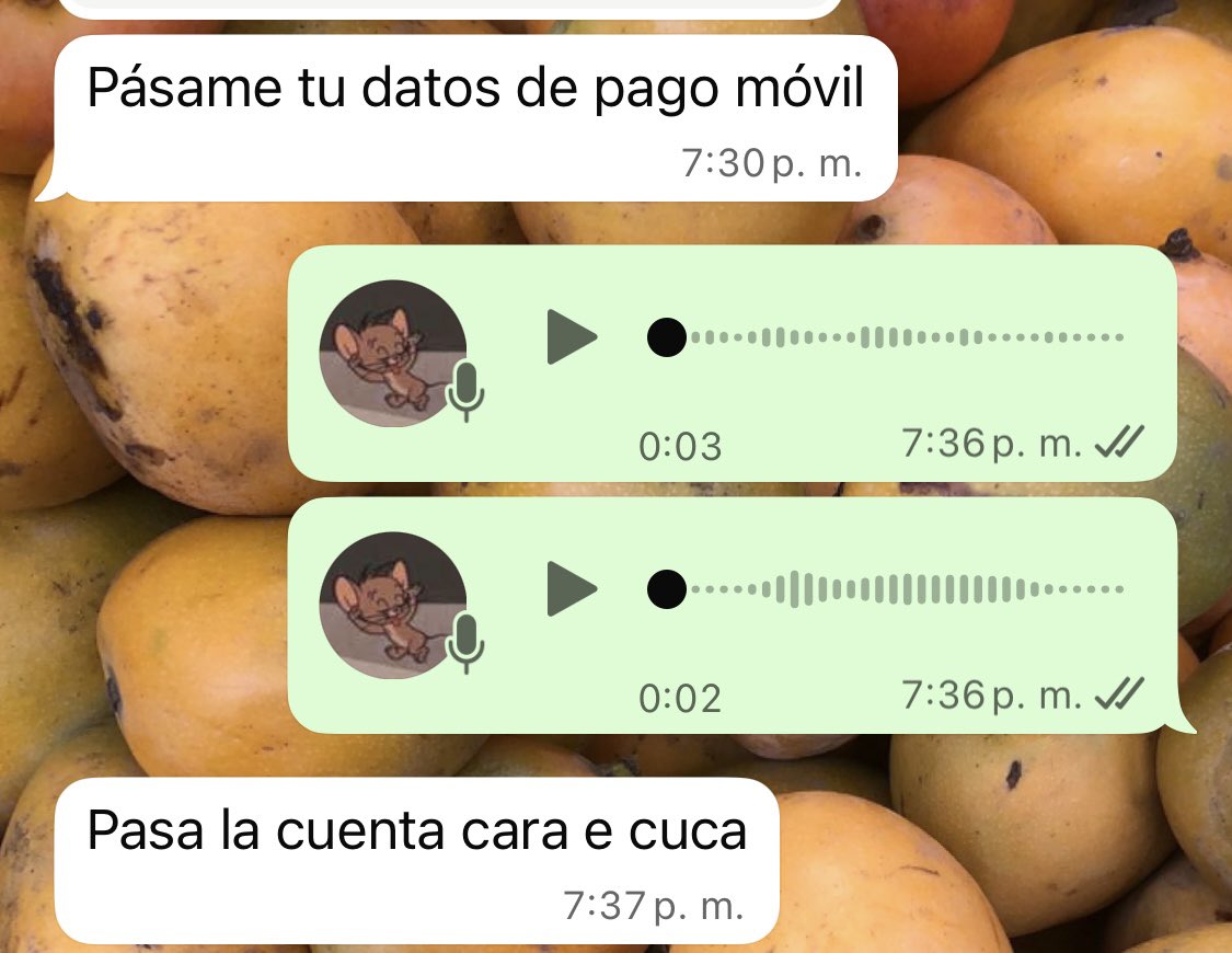 Solo acepto este tipo de mensajes.