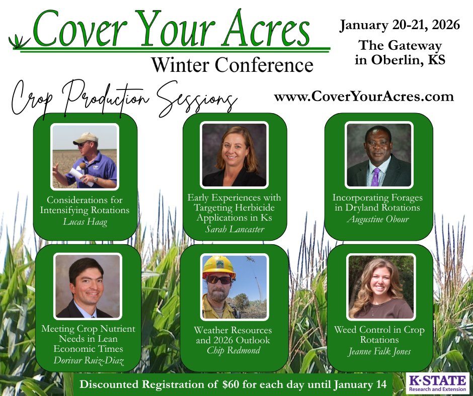 Jeanne Falk Jones tweet media