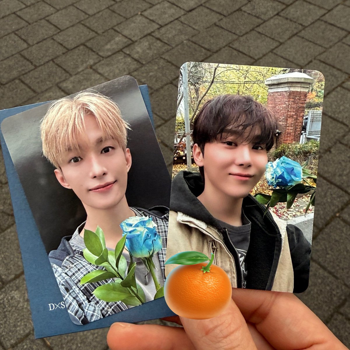 oll6_xx's tweet photo. 승관 도겸 사녹 포카♥︎
파란 장미 들고 이쏘 https://t.co/5ItCoDr5OT
