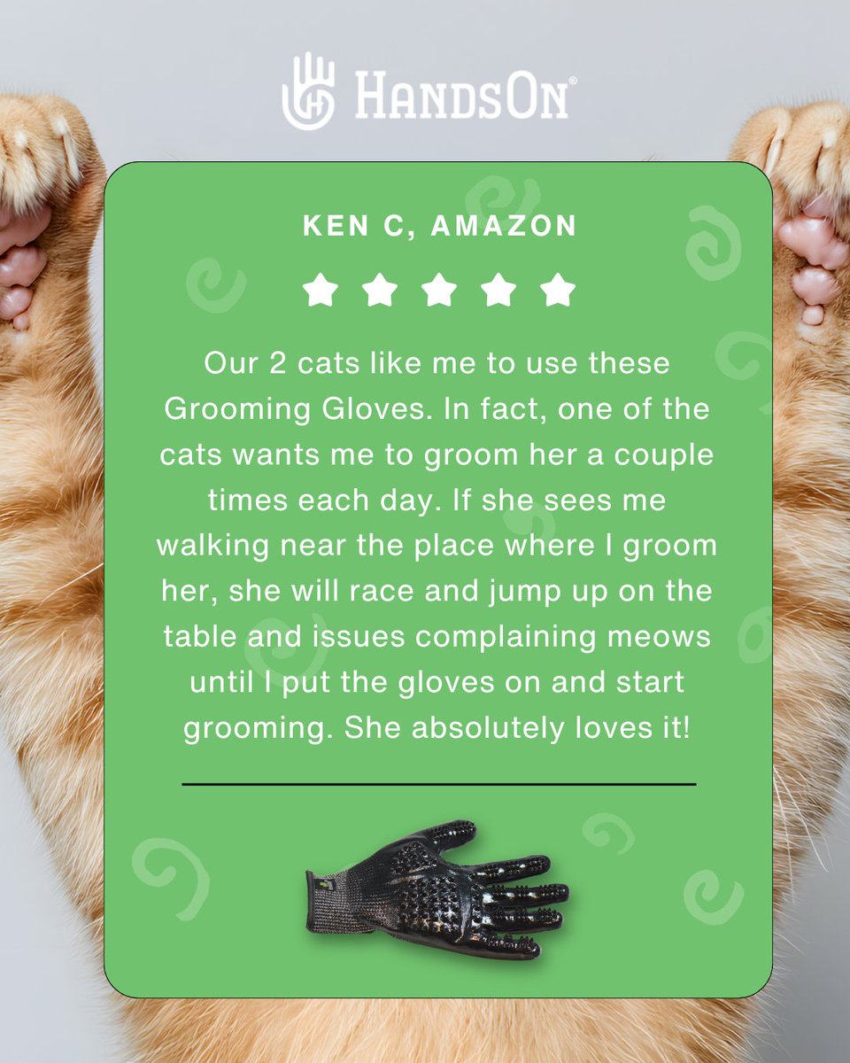 Some #cats can be a little picky about #grooming tools, and some outright refuse to have anything to do with them. That’s why we love hearing from cat parents who’ve found HandsOn Gloves are the solution their finicky #felines actually enjoy.  🐱✨

#HandsOnGloves #CatGrooming