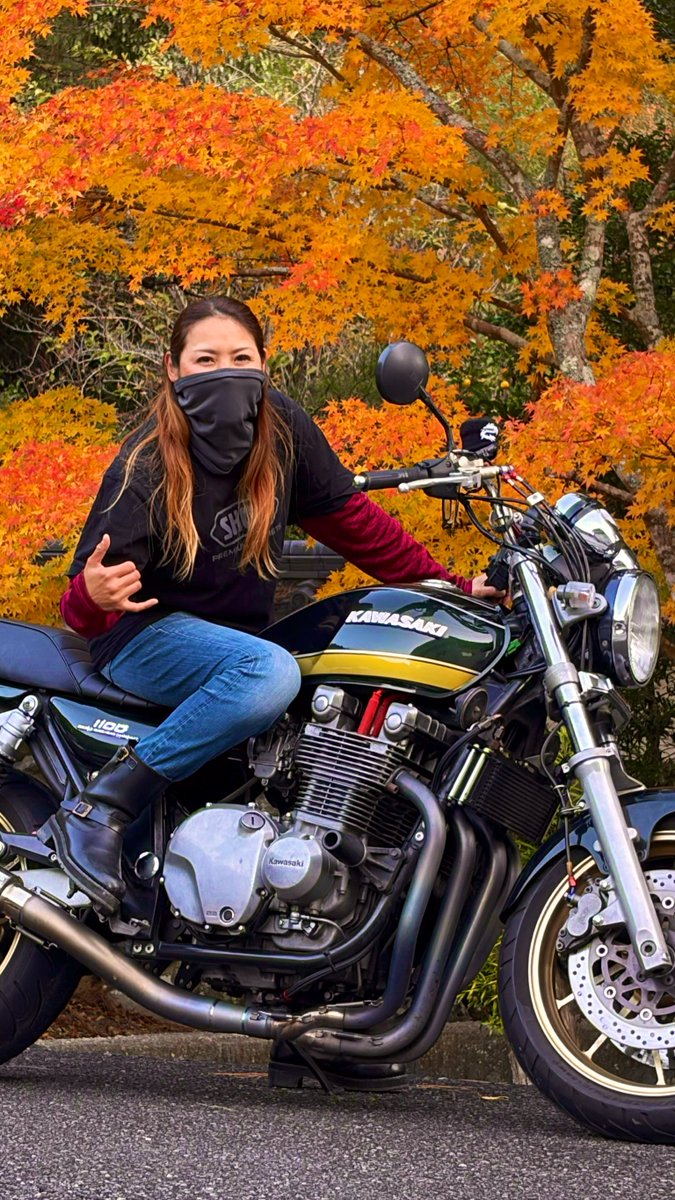 せつねこ🐈‍⬛ ¹⁹お嬢 (@NEKO_INU19) / Posts / X