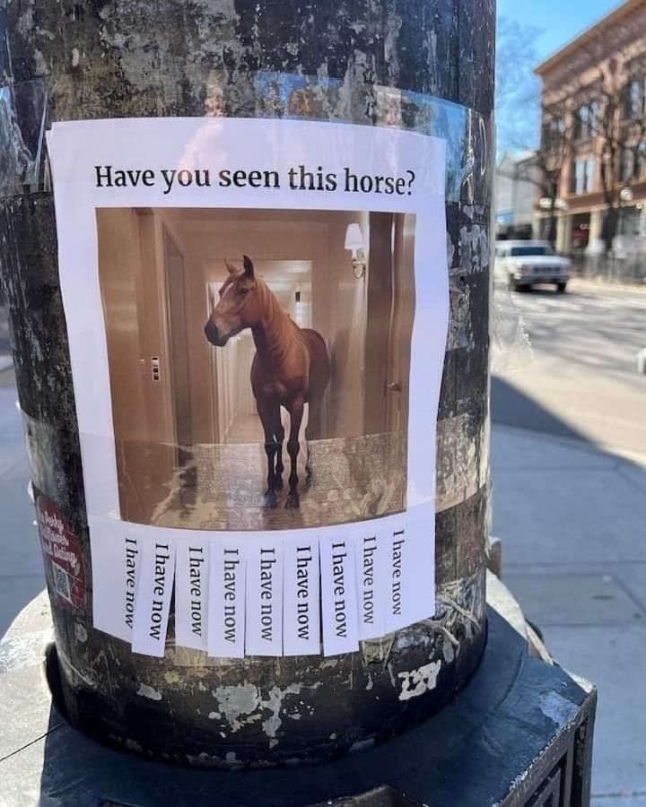 horse dentist tweet media