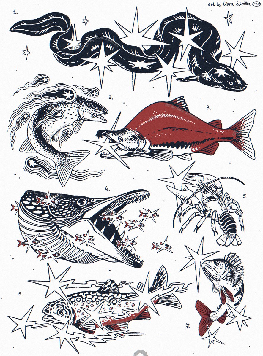 River fauna ⭐️🐟