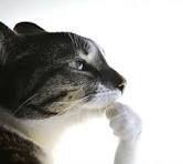 nothar__'s tweet image. 