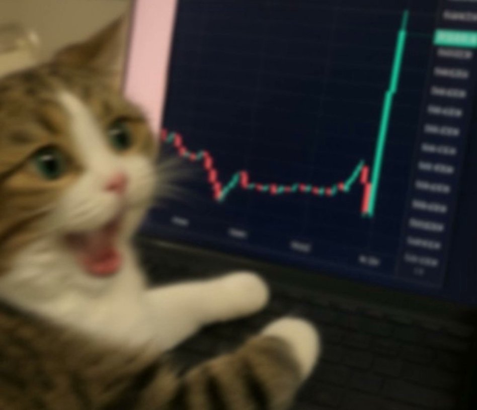 teaffcalls's tweet image. POV you bought $PVE