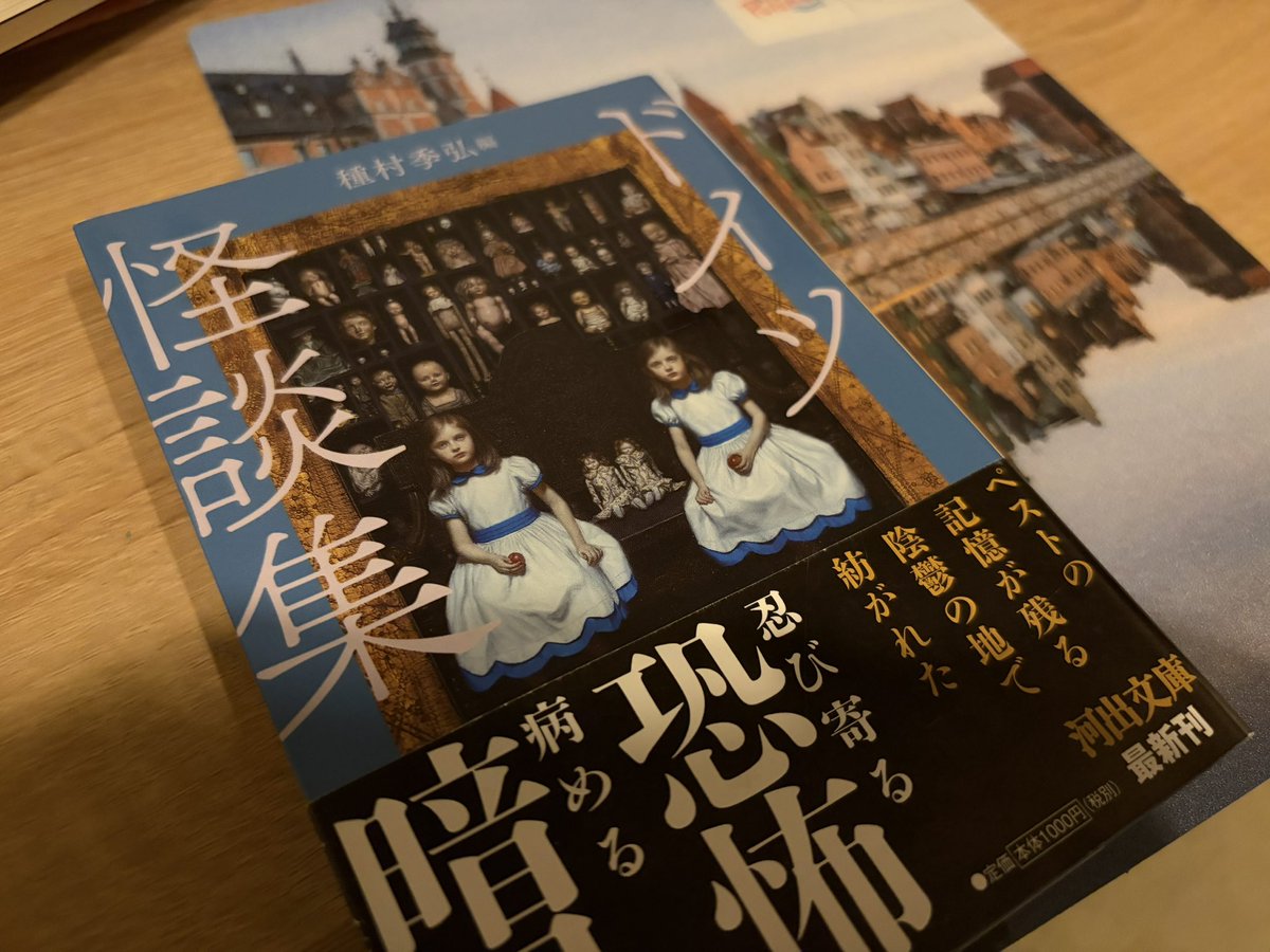 【読了】ドイツ怪談集
ネームバリュー的にも内容的にも特筆すべきはホフマンの『廃屋』だろうか？
執着や愛も怪異と見なす様子は、病と怪異の境界が曖昧な時代だからなんだなとかんじけど、現代は本当にそれらを正しく把握できているのかな？と、ふと思わされた