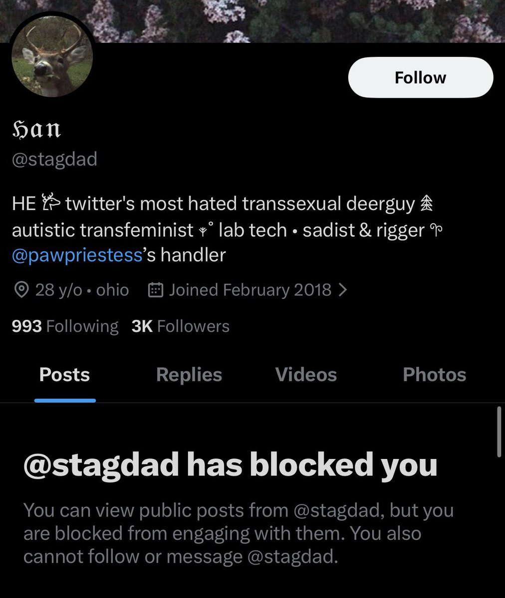 aevdot's tweet image. btch i love the block