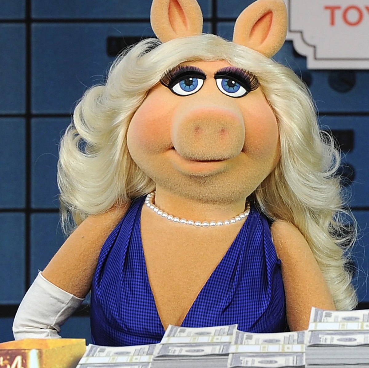 Omar Ahmad Zaheer, DVM, Dipl. ACZM tweet media