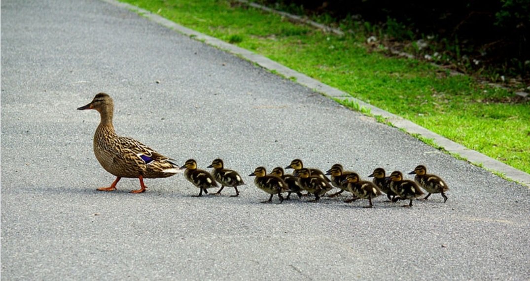 I see no difference😭💙🫶