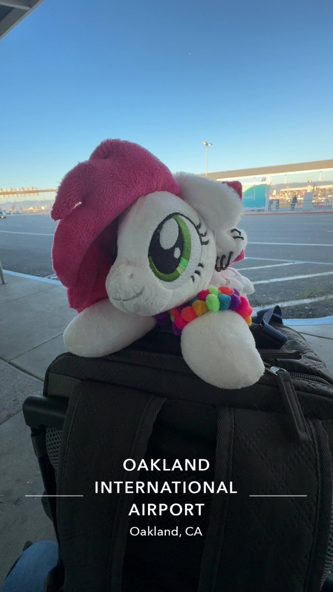 🏳️⚧️ Cherry Cider ➡️ EverFree NW26🏳️⚧️ tweet media