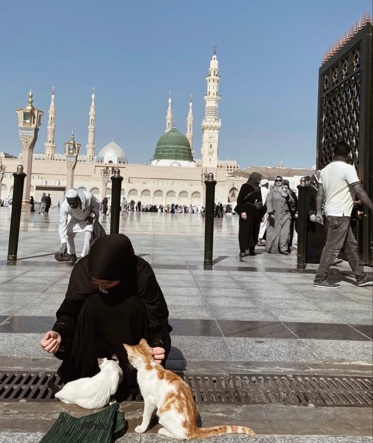 Alhamdhulillaah's tweet photo. رب إني لما أنزلت إلي من خير فقير

[Rabbi innī limā anzalta ilayya min khayrin faqīr]

My Lord! I am indeed needy of whatever good You may send to me https://t.co/mT9P1OwotC