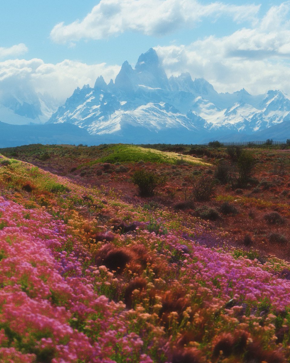 matialonsor's tweet image. Cuatro fotos que saque en el mejor pais del mundo