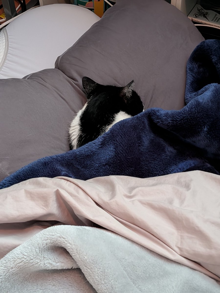 HUGMOTTI - ハグモッチ - (@hugmotti_jp) / Posts / X