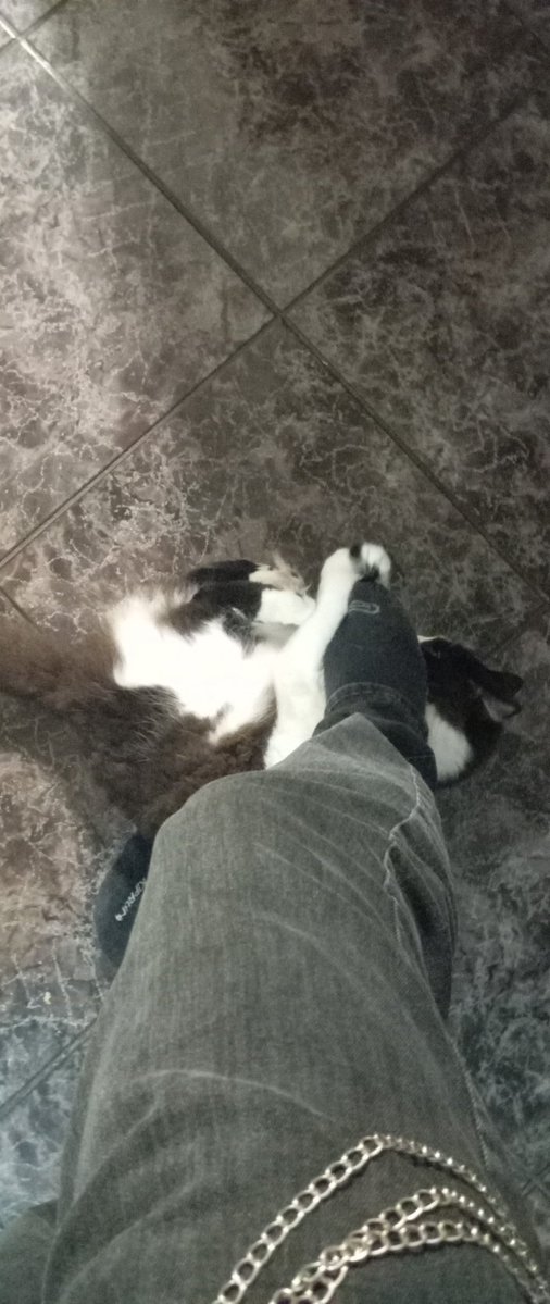 Yer069's tweet image. fetichista de patas