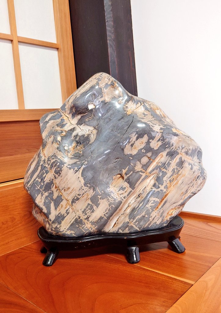 え、なにこれ凄い。含浸させてるのか。珪化木と似てるかと思ったけど