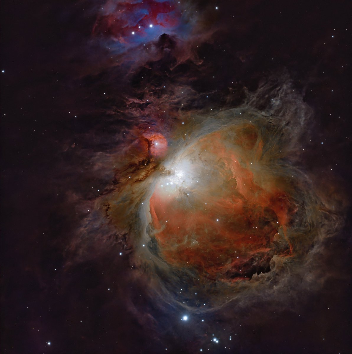 Mario 🪐🌒🌞🌌🔭🐸 tweet media