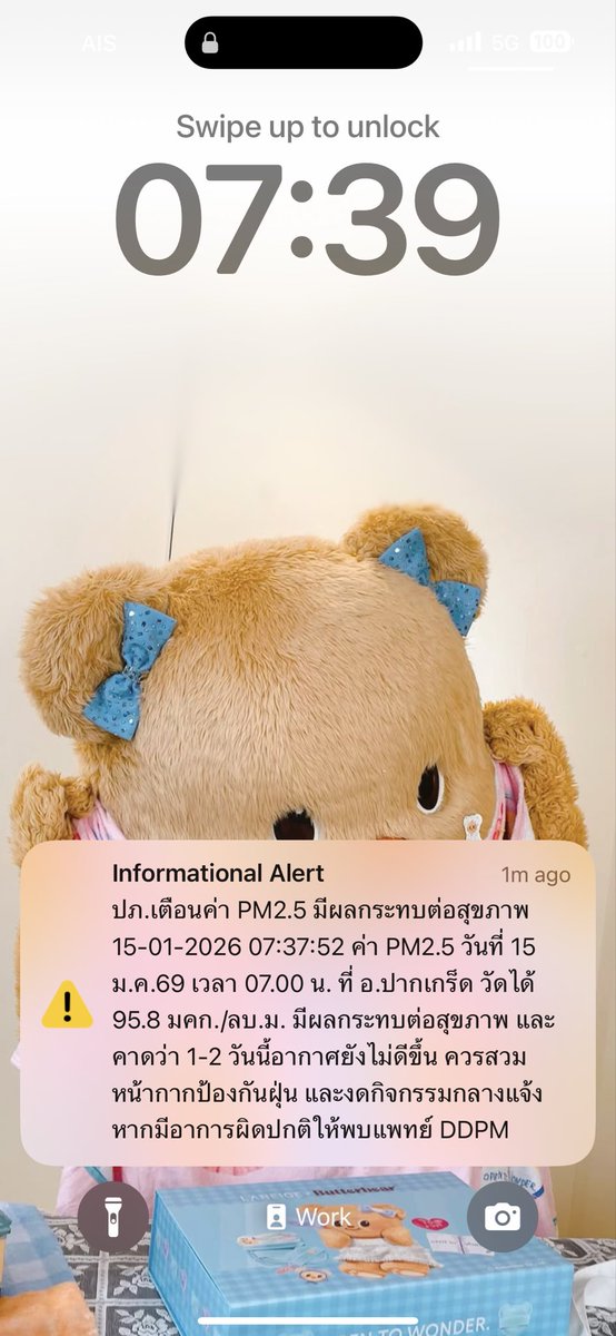 🧸 tweet media