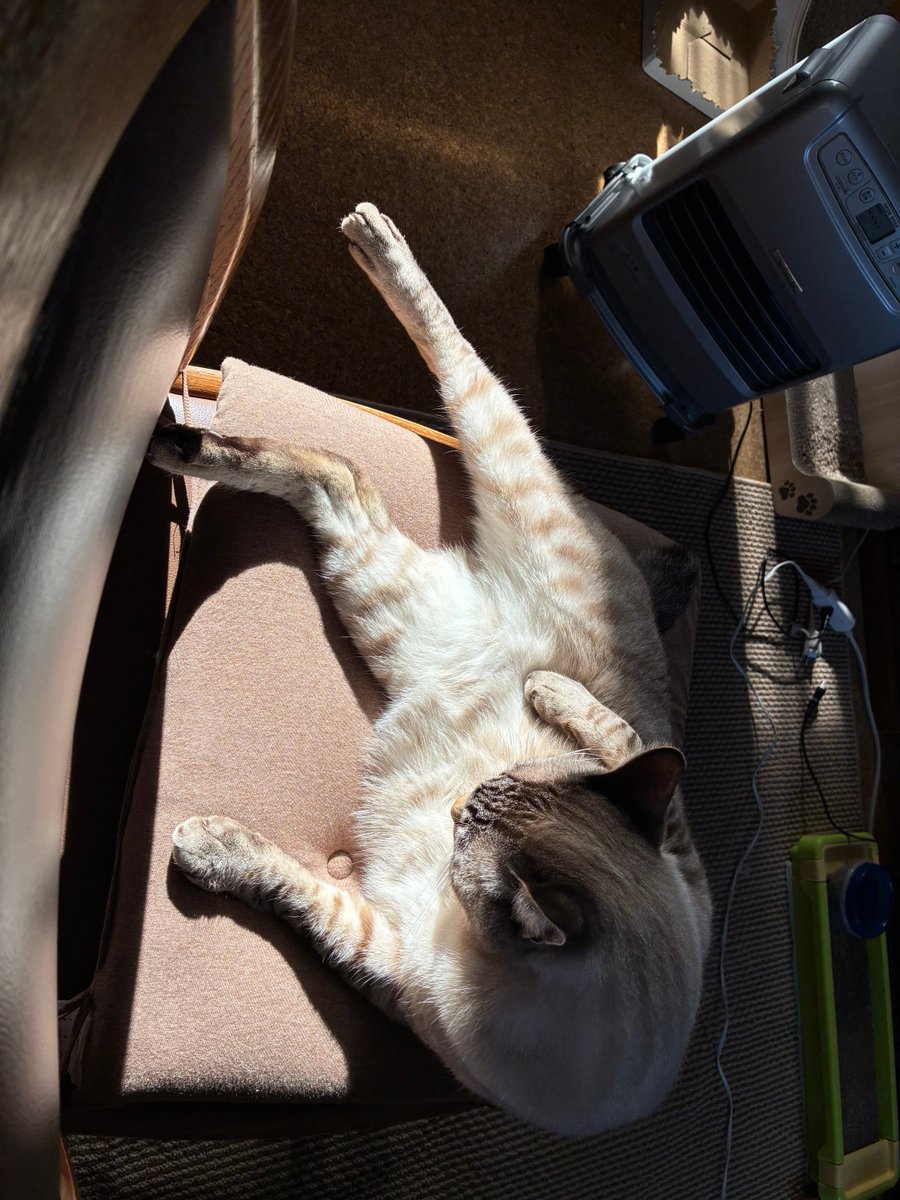 そら🐾 (@_sora0613_) / Posts / X