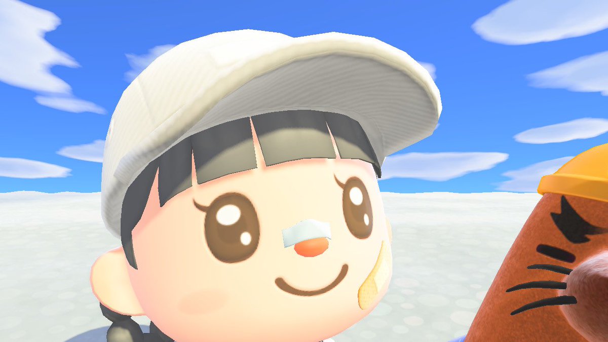 #あつまれどうぶつの森